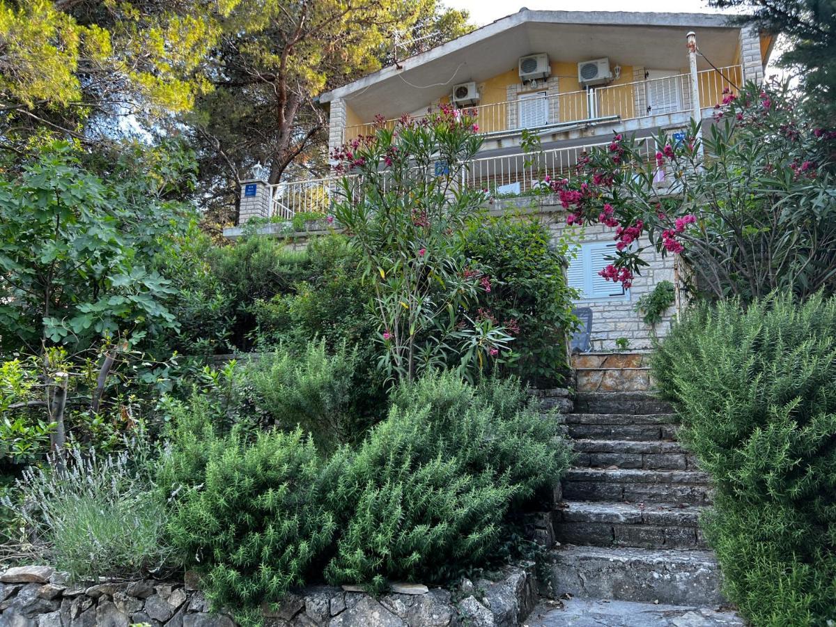 Apartmani Lidija Karin Donji Donji Karin Экстерьер фото